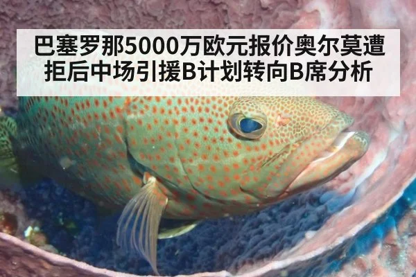 巴塞罗那5000万欧元报价奥尔莫遭拒后中场引援B计划转向B席分析