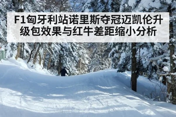 F1匈牙利站诺里斯夺冠迈凯伦升级包效果与红牛差距缩小分析