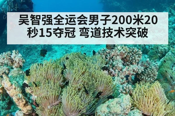吴智强全运会男子200米20秒15夺冠 弯道技术突破